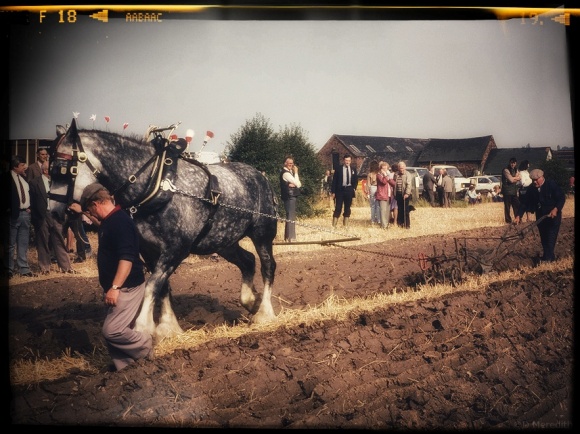 Ploughing with a horse.