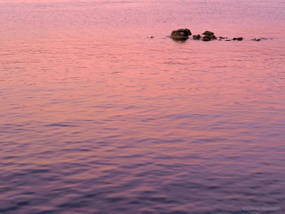 Getting Back to Basics: Pink Cloud Reflected in the Ripples
